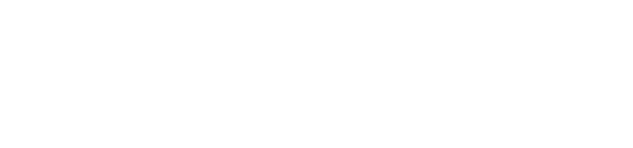 BWG Global